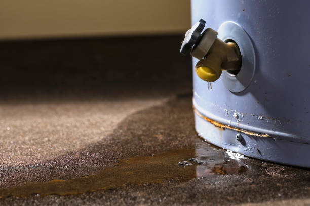 Best Ceiling water damage repair  in Inkerman, PA