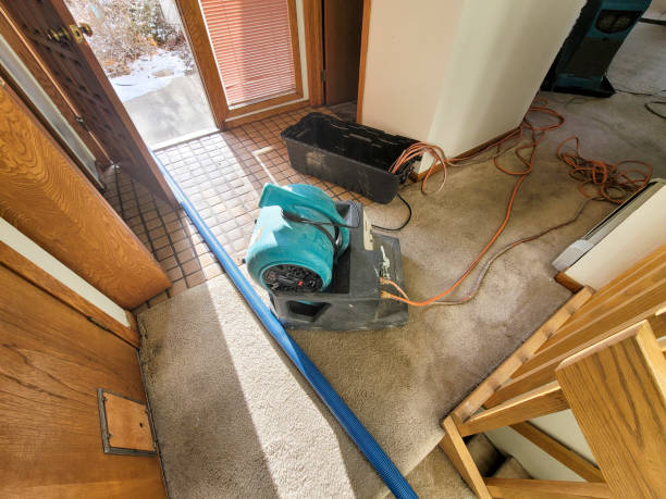 Best Water damage restoration near me  in Inkerman, PA