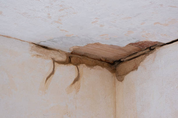 Best Flood damage cleanup  in Inkerman, PA