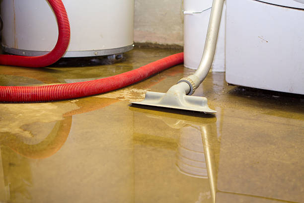Best Flood damage cleanup  in Inkerman, PA