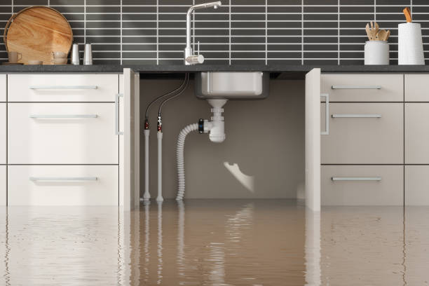Best Commercial water damage restoration  in Inkerman, PA